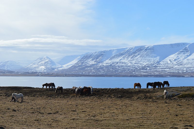 Akureyri (02).JPG